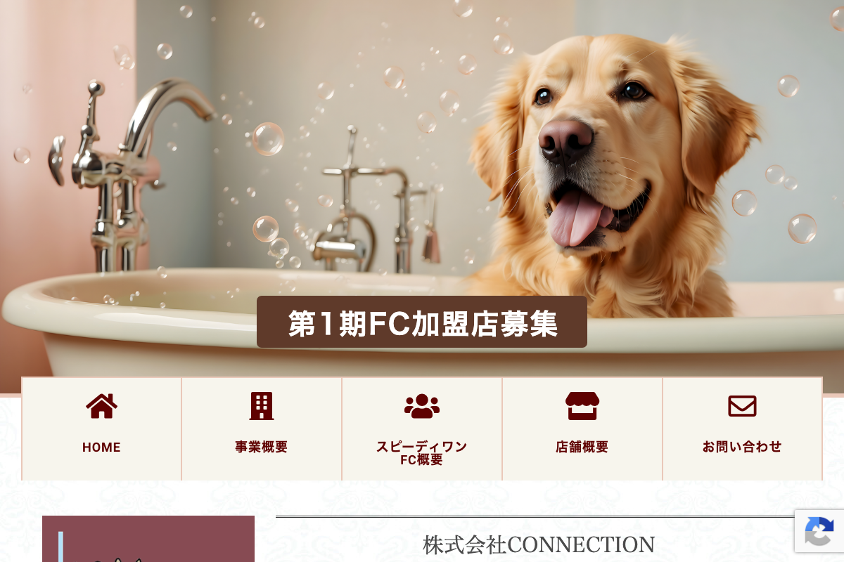 Dear Dog