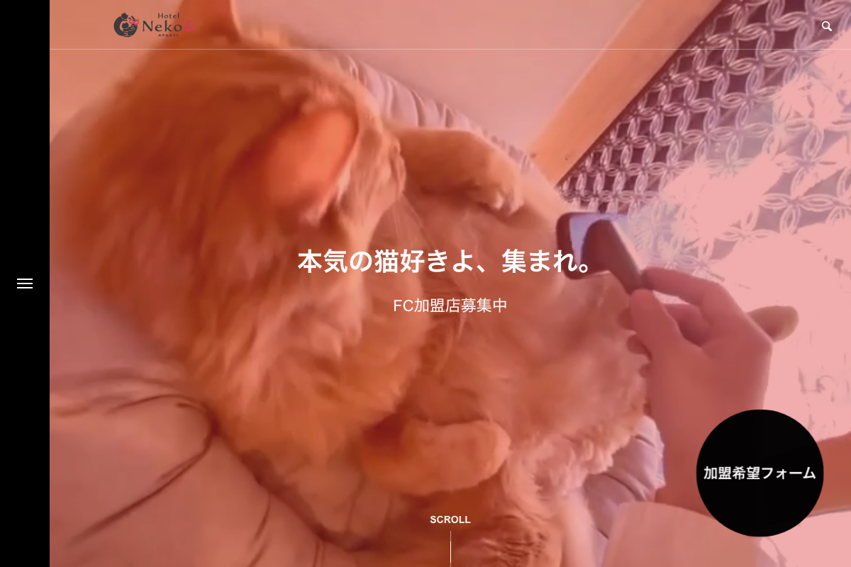 猫専門ペットホテル ネコト